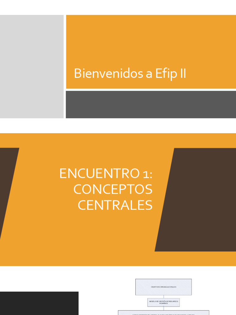 Resumen Efip Ii Pdf
