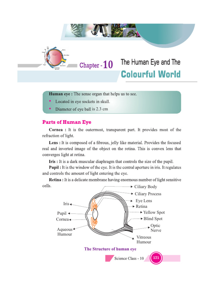 Optics and Vision Quiz | PDF | Eye | Color