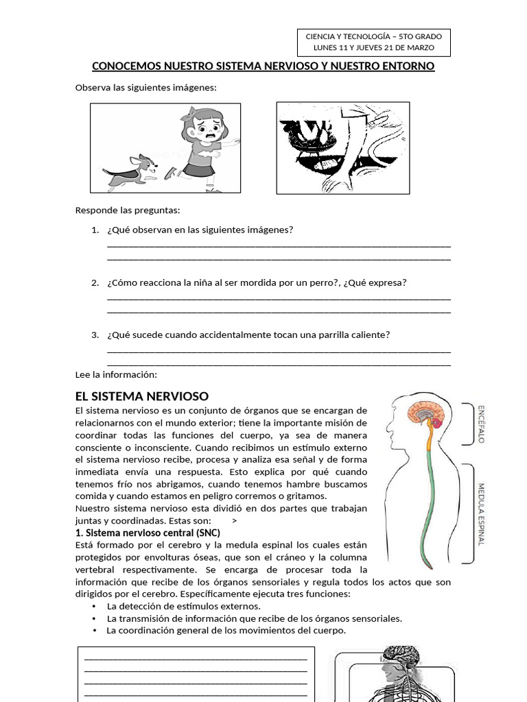 CIENCIA Y TECNOLOGÍA - 5TO GRADO | PDF