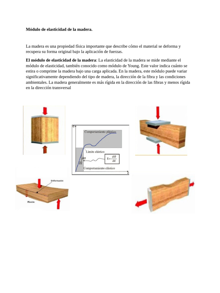 Módulo De Elasticidad De La Madera Pdf