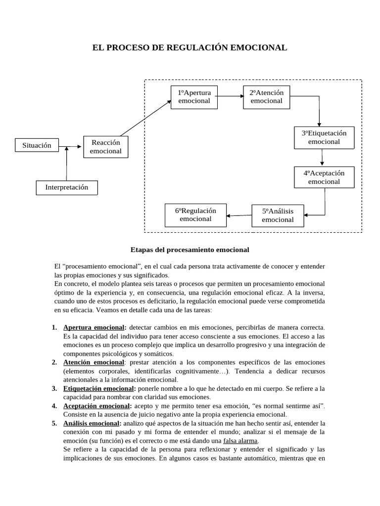 Proceso de Regulación Emocional | PDF | Las emociones | Autorregulación ...