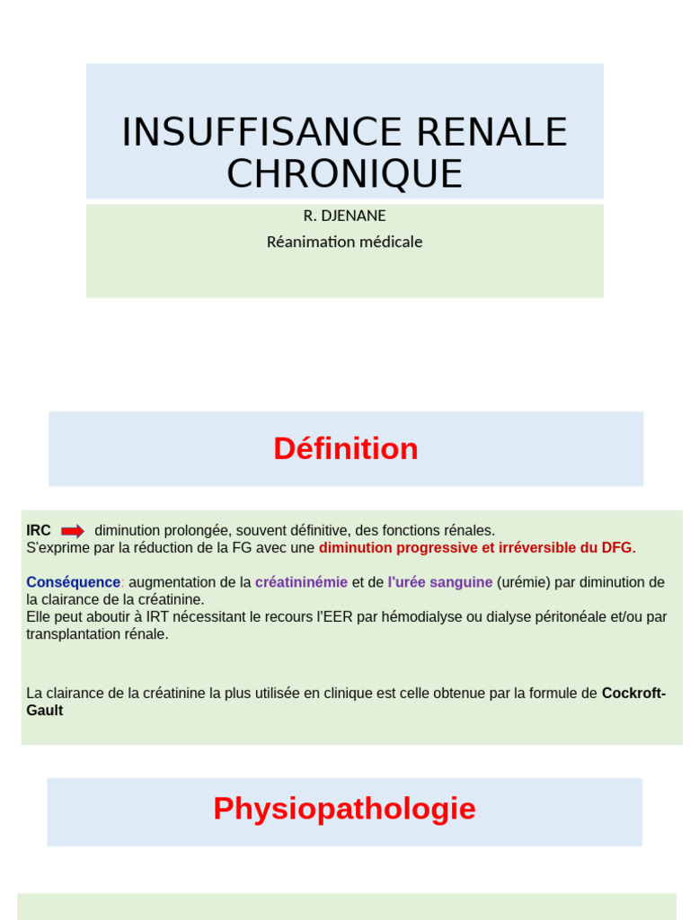 Insuffisance Renale Chronique R. Djenane Réanimation Médicale PDF — free download
