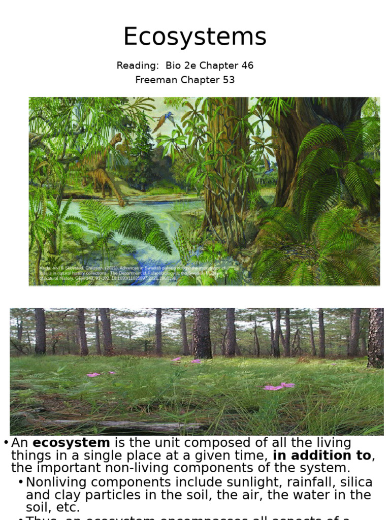 Ecosystems | PDF