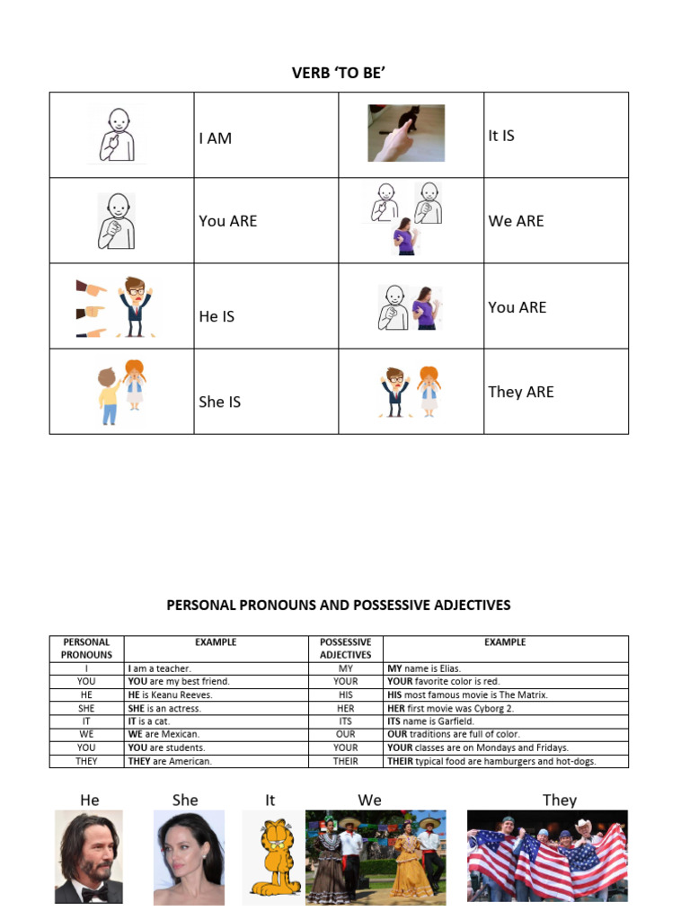 Beginner's Guide to 