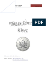 Ebook Silver