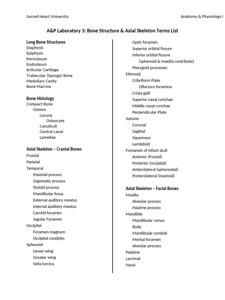 Lab 3 Terms List | PDF