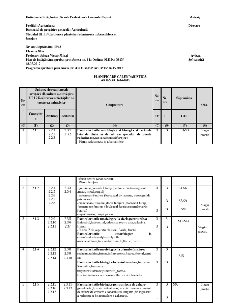 M3-IP Clasa a XI-a | PDF