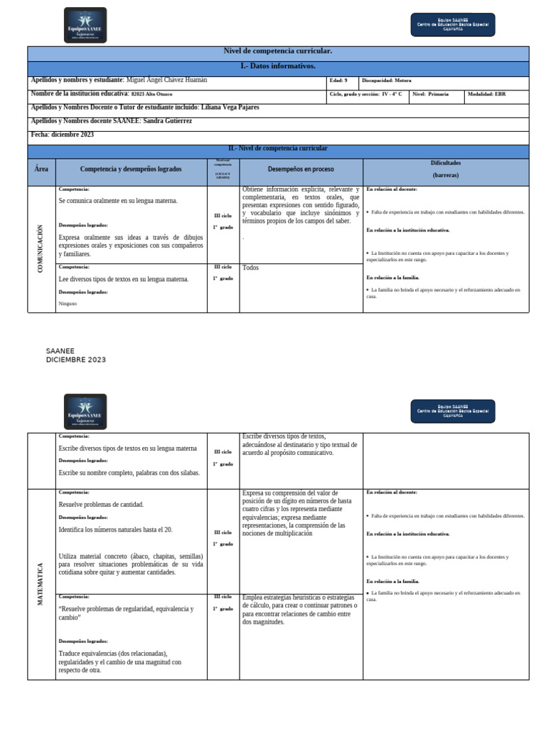 Formato nivel de competencias DIC 23 FCA | PDF