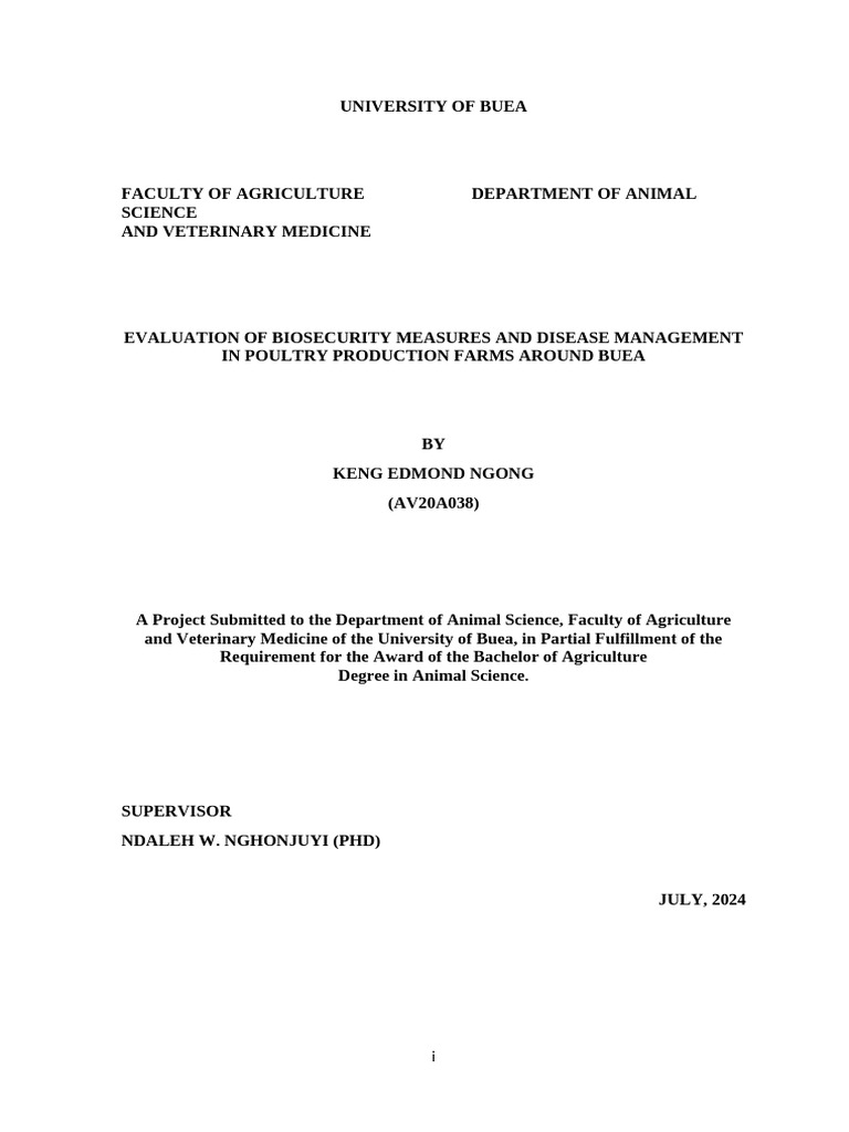 Final Project Work 1 | PDF