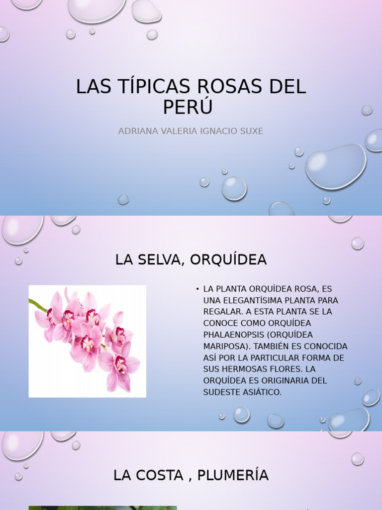 Las Típicas Rosas Del Perú Pdf