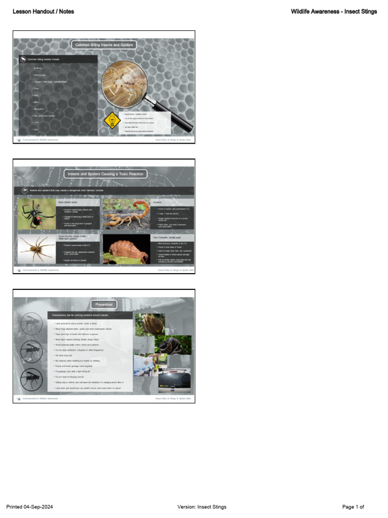 Insect Stings & Bites & Spider Bites - Handout - 440 | PDF