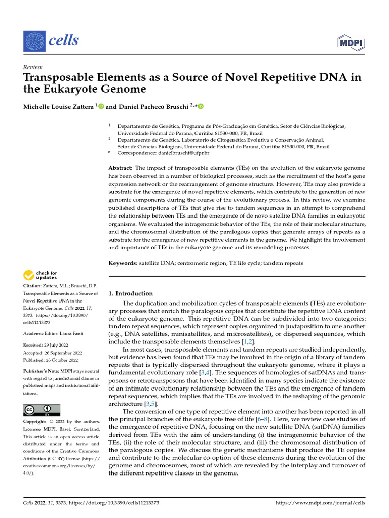 Transposable Elements As A Source of Novel Repetit | PDF