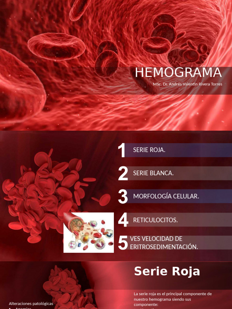 Hemogram A | PDF