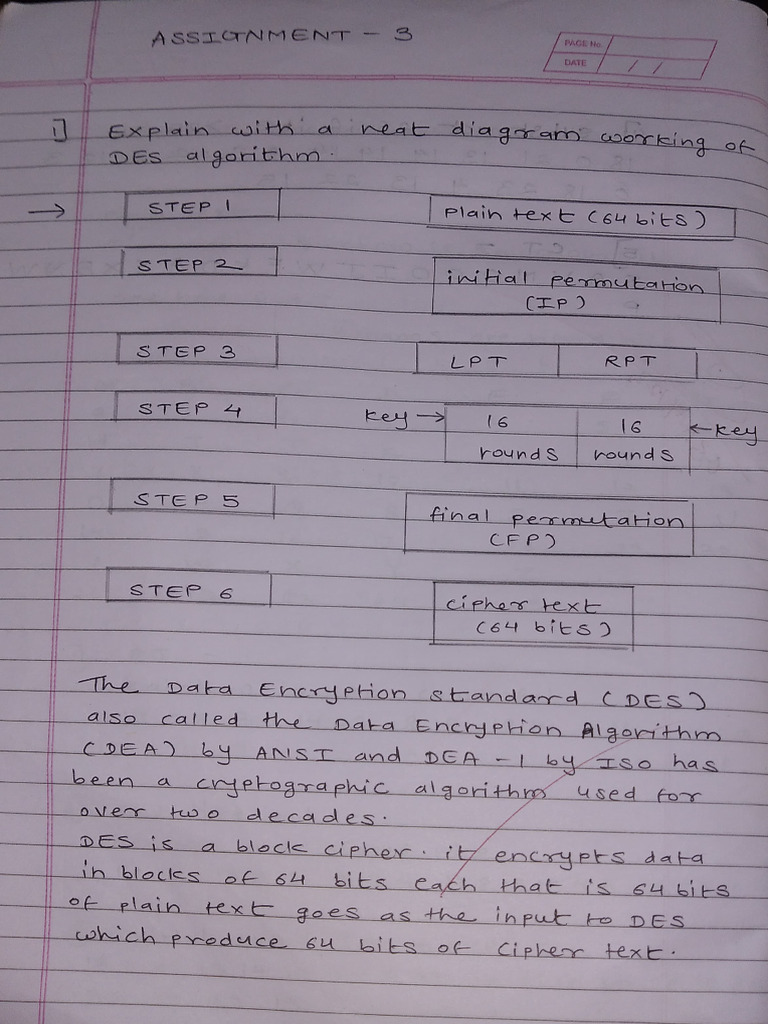 NS Assignment 3 (1808) | PDF