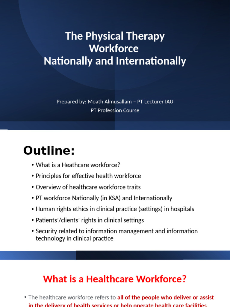 Global Insights on Physical Therapy Workforce | PDF | Health Care ...