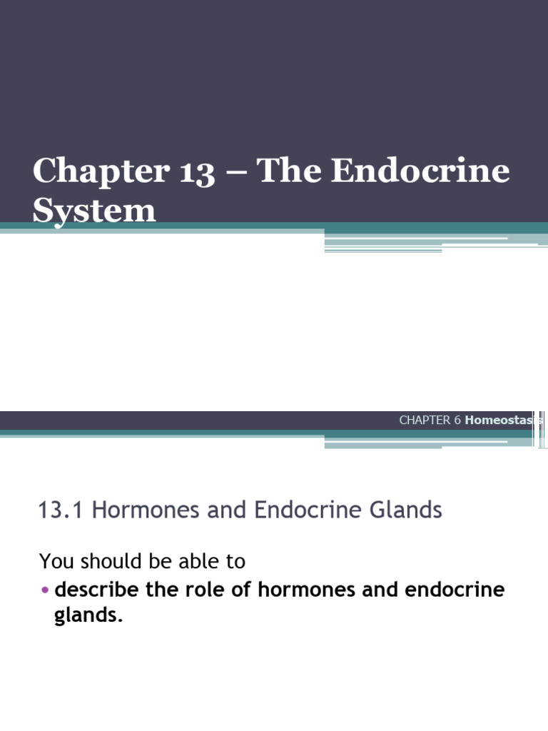 Chapter 13 Endocrine System Pdf