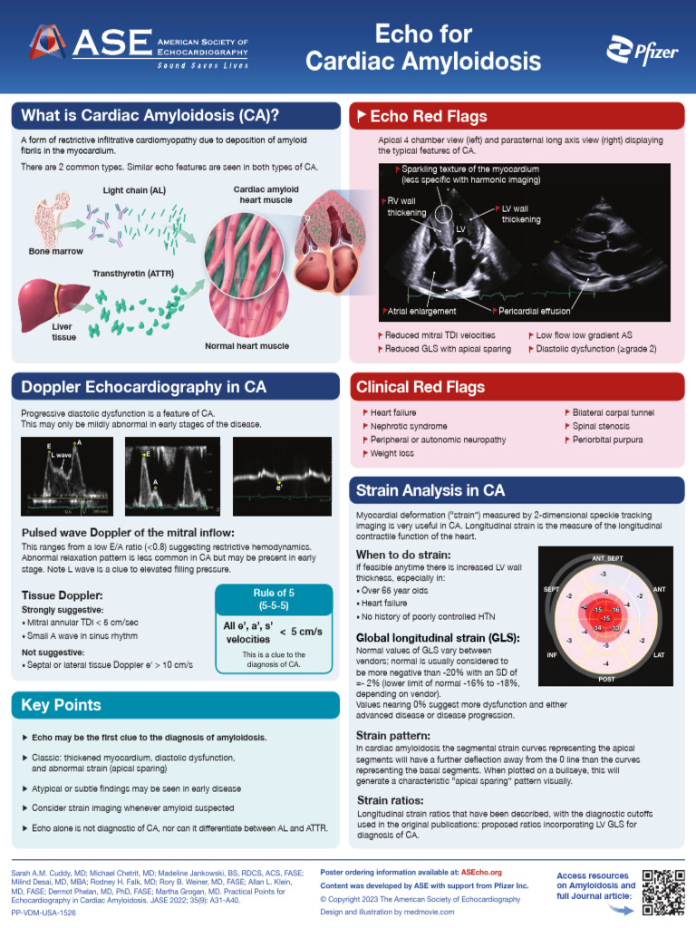 4081 ASE P37 Amyloidosis v13 16x20 Digital | PDF