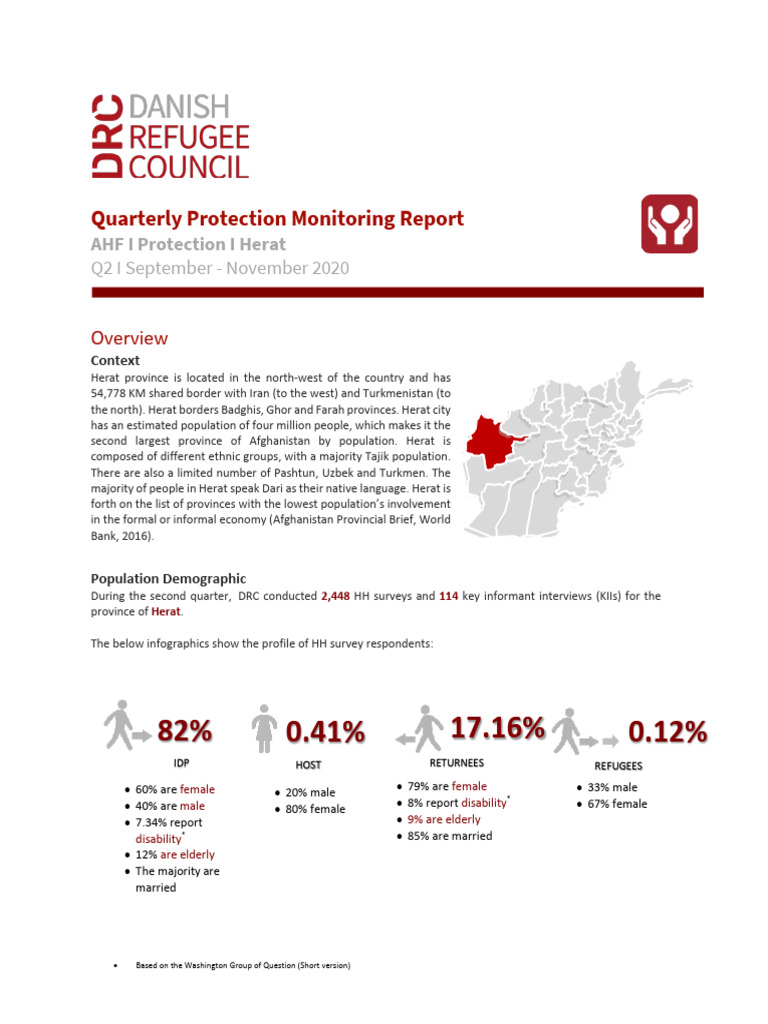 hrt_q2_protection_monitoring_report | PDF