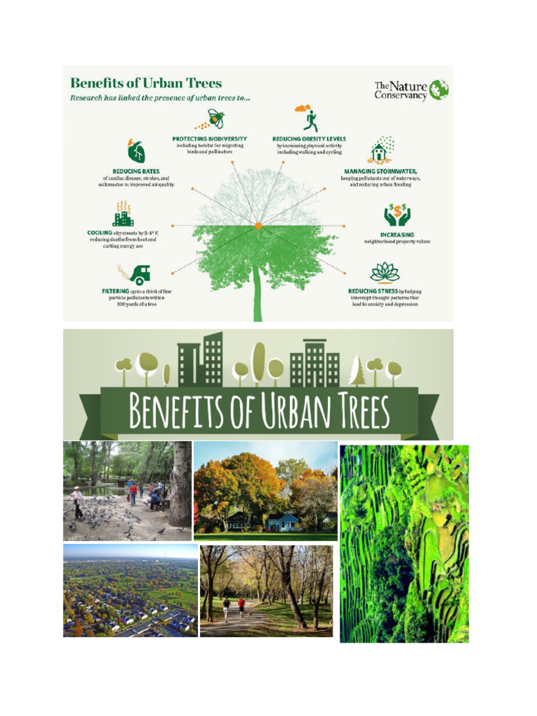 Tangible Intangible And Social Benefits Pdf