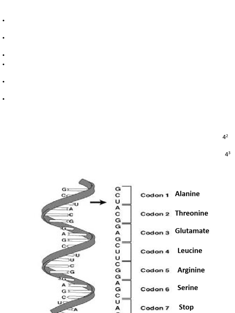 Genetic Code | PDF