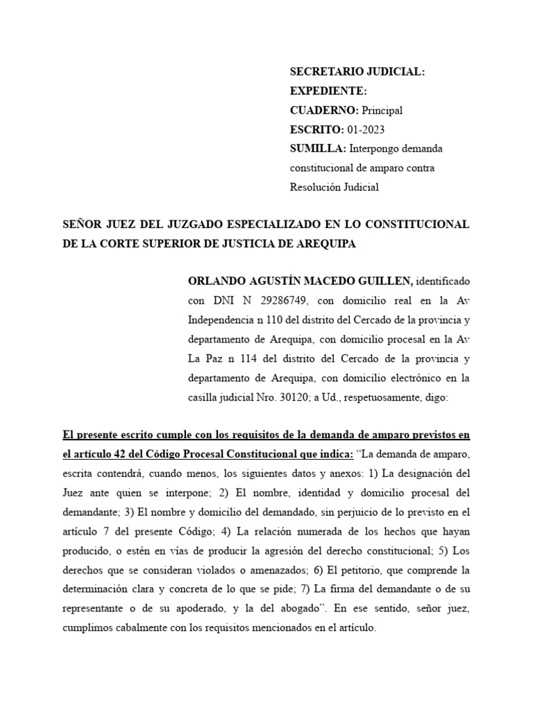 Demanda de Amparo Contra Resolucion Judicial | PDF