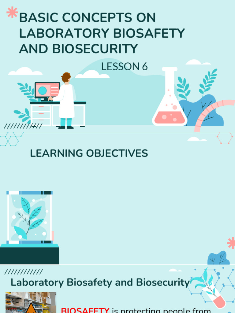 PMLS Lesson 6 | PDF