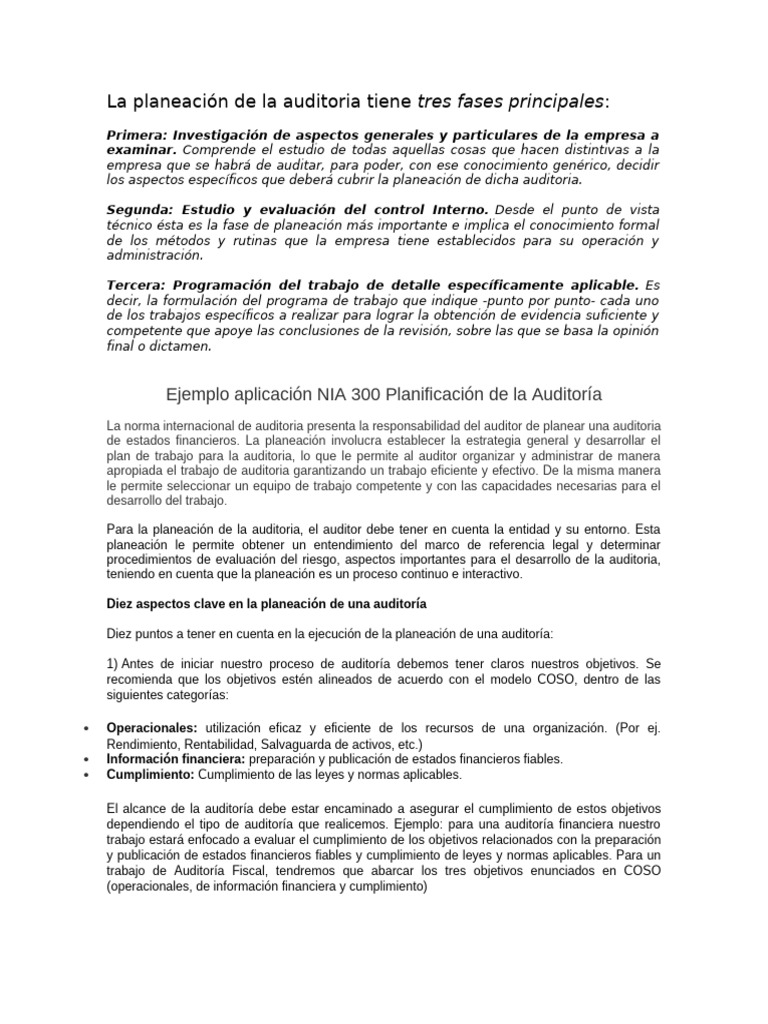Ejemplo de Planeación de Auditoría Según NIA 300 | PDF