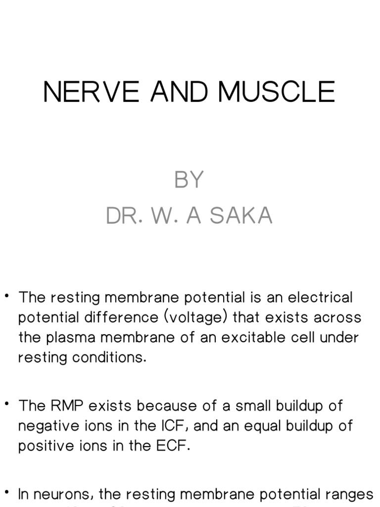 Nerve and Muscle Physiology | PDF