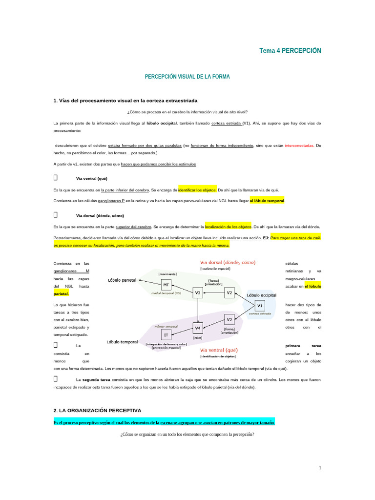 Apuntes Tema 4 | PDF