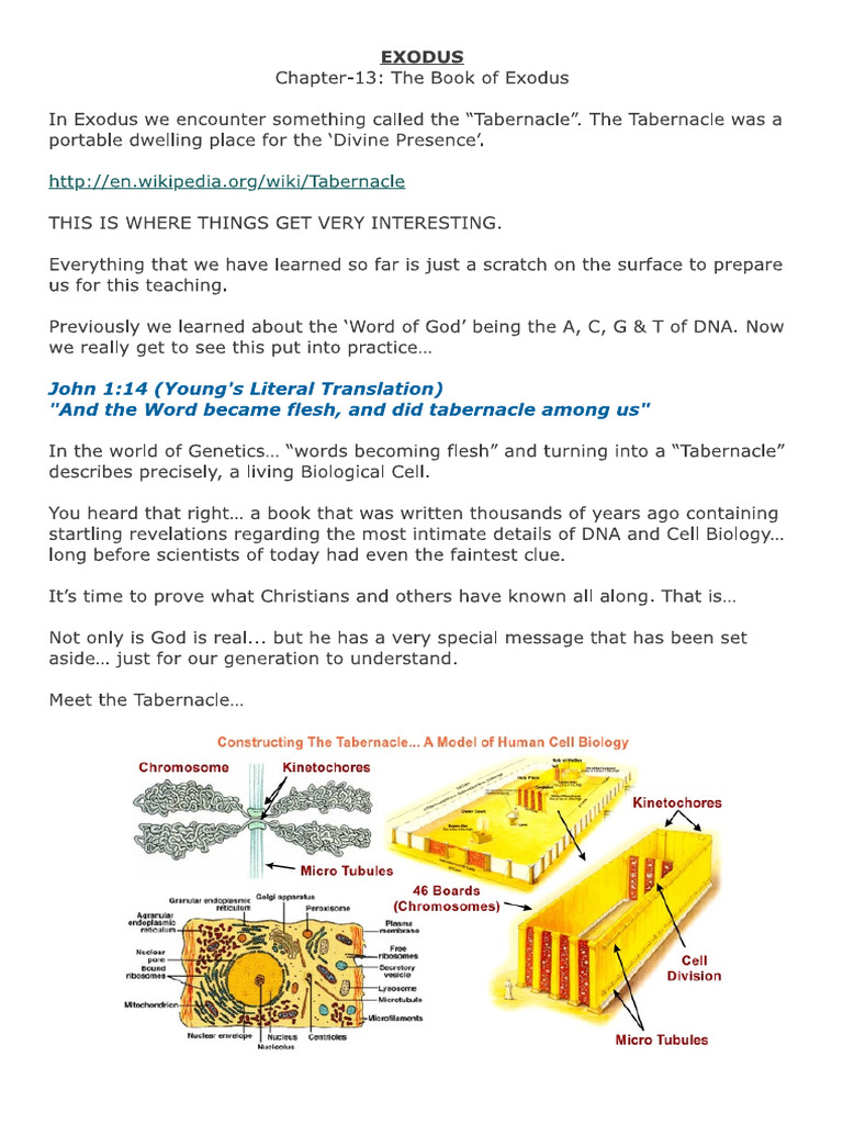 Chapter-13 - The Book of Exodus Bible Just Coding Book | PDF