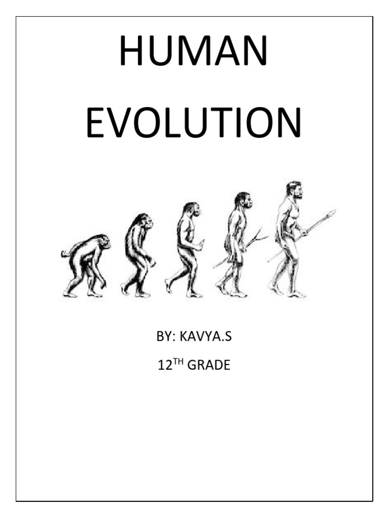 Human Evolution | PDF
