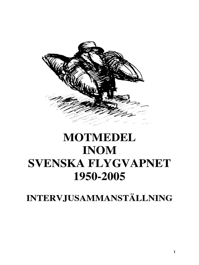 Mmrapport utg 2 pdf