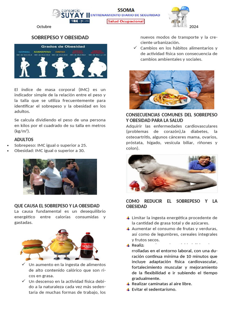 10 Chso - Sobrepeso y Obesidad | PDF | Obesidad | Índice de masa corporal