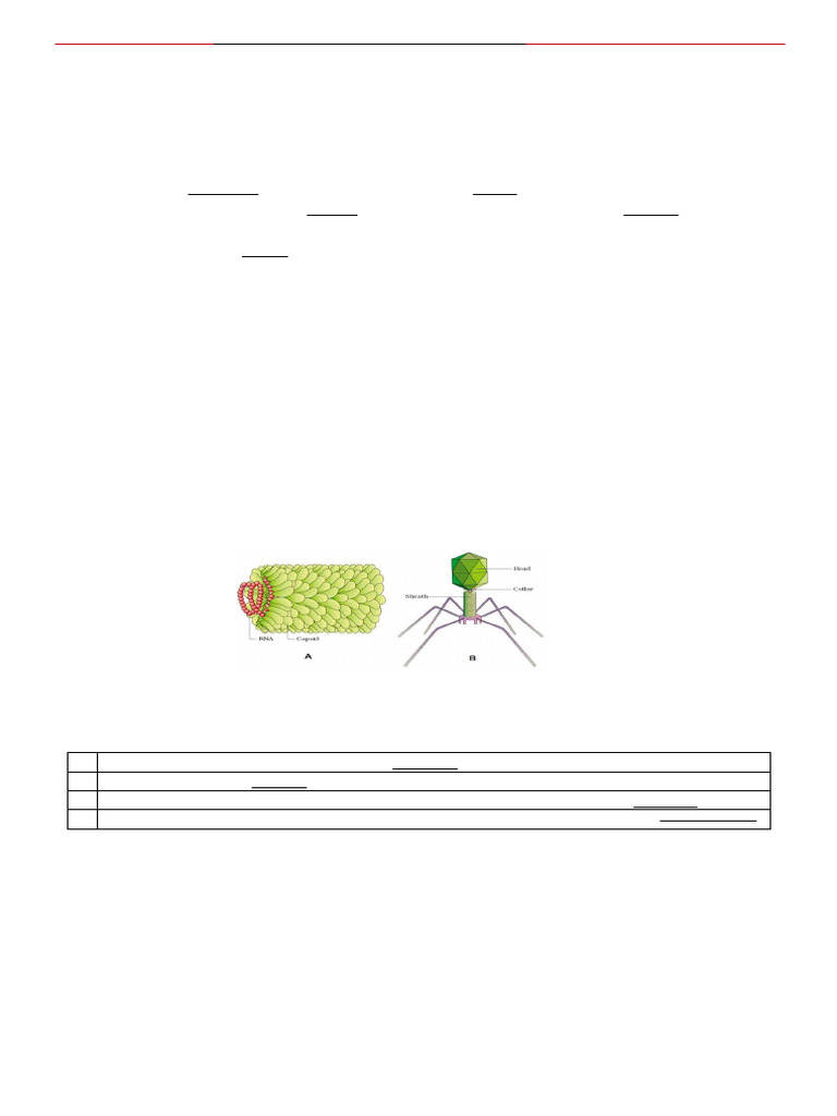 Biology Assignment 2 F Pdf