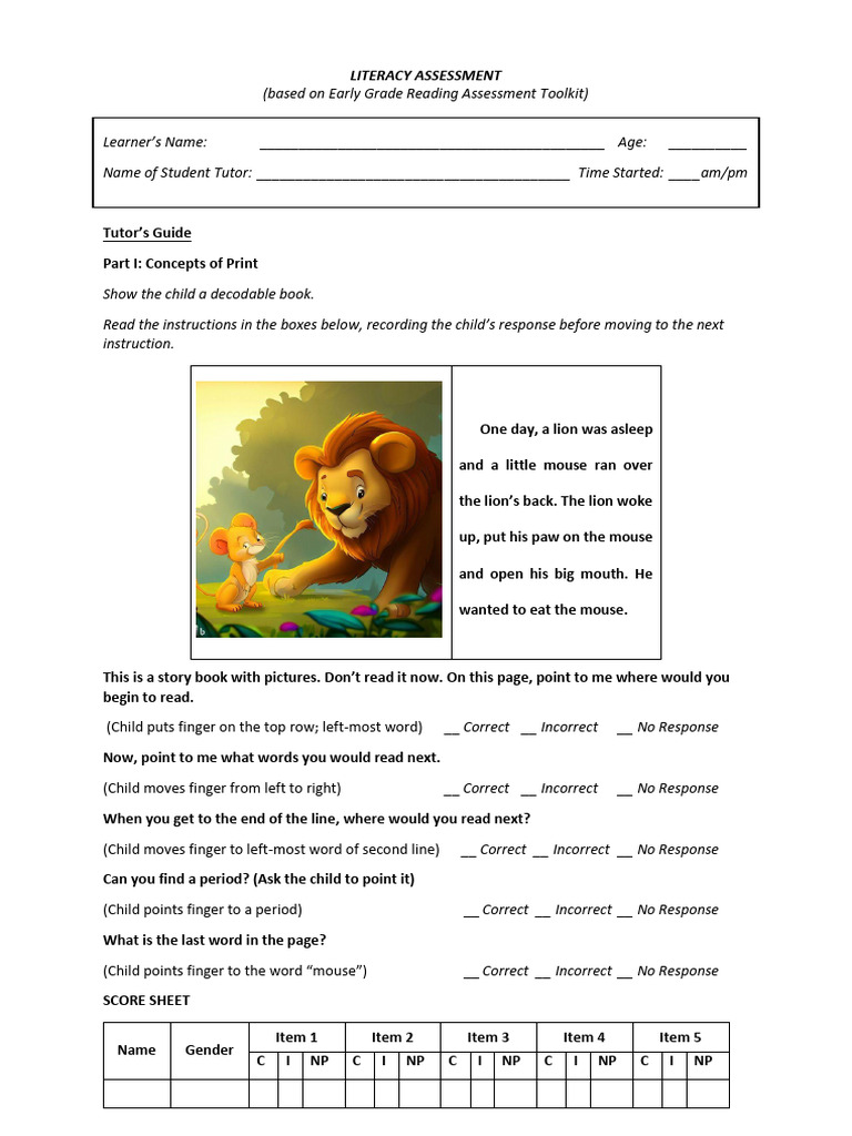 Literacy assessment pdf
