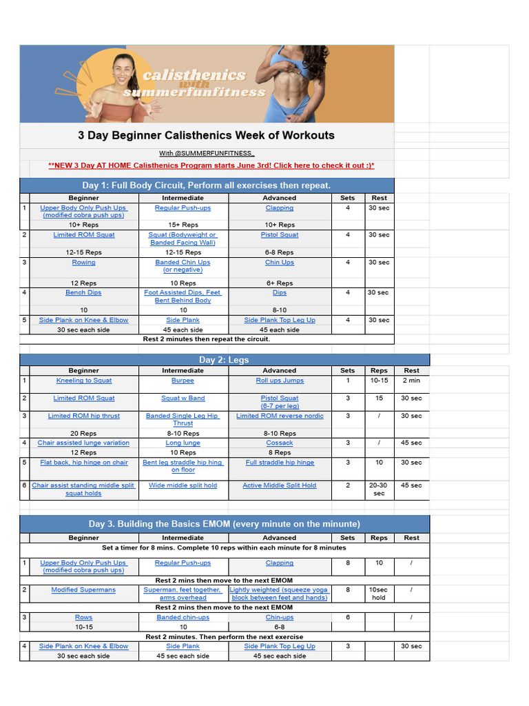 Cópia de 3 Day Beginner Calisthenics Week of Workouts With Summerfunfitness - Sheet1 | PDF