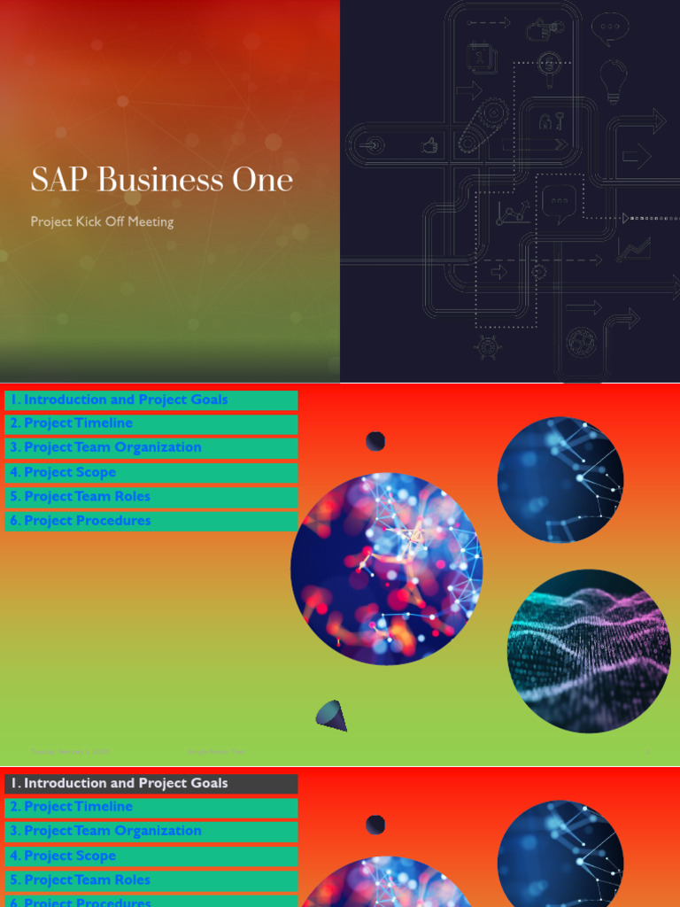 Sap business one pdf