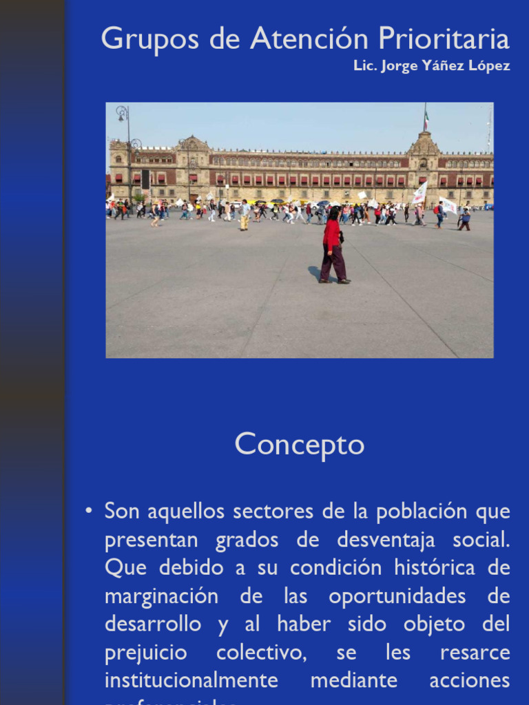 Grupos de Atención Prioritaria | PDF