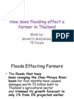 How Does Flooding Effect A Farmer in Thailand