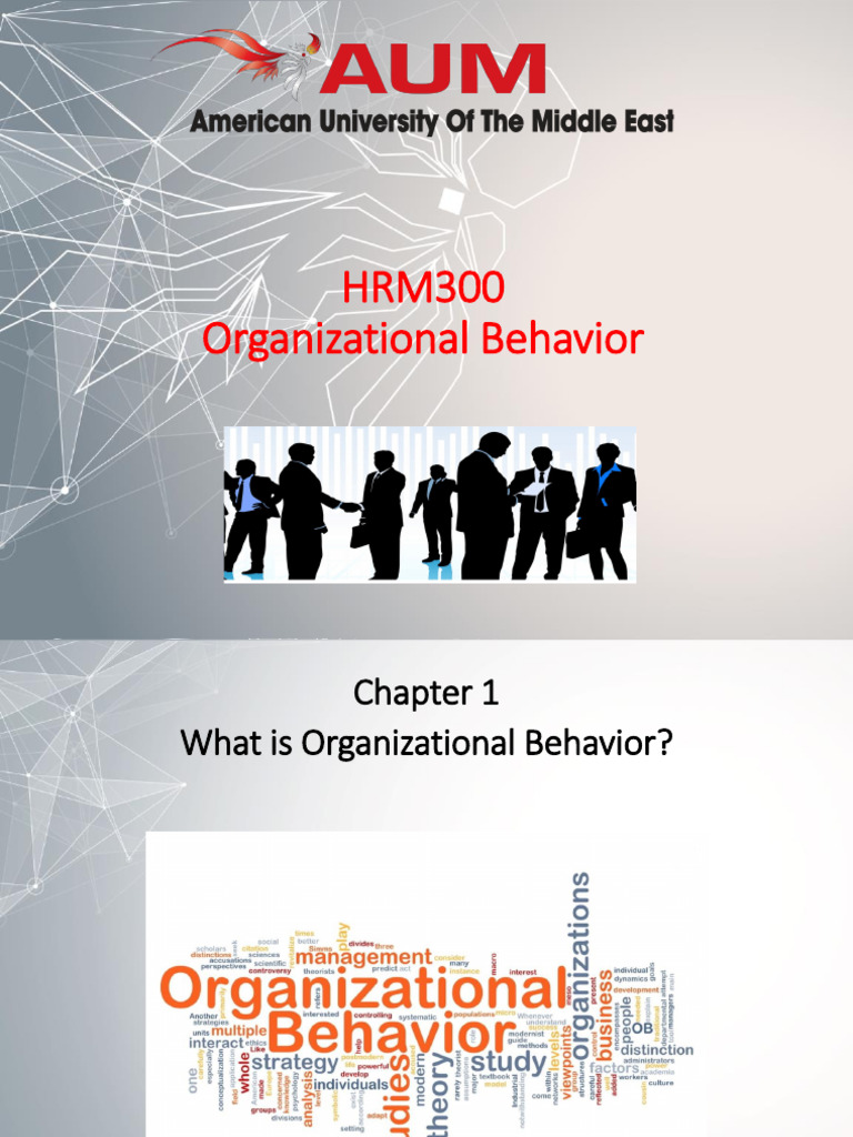 Chapter 1 What Is Organizational Behavior Pdf