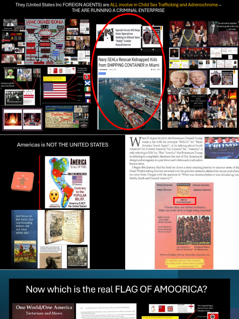 Exposing the United States Inc's Crimes | PDF | Treason | The United States