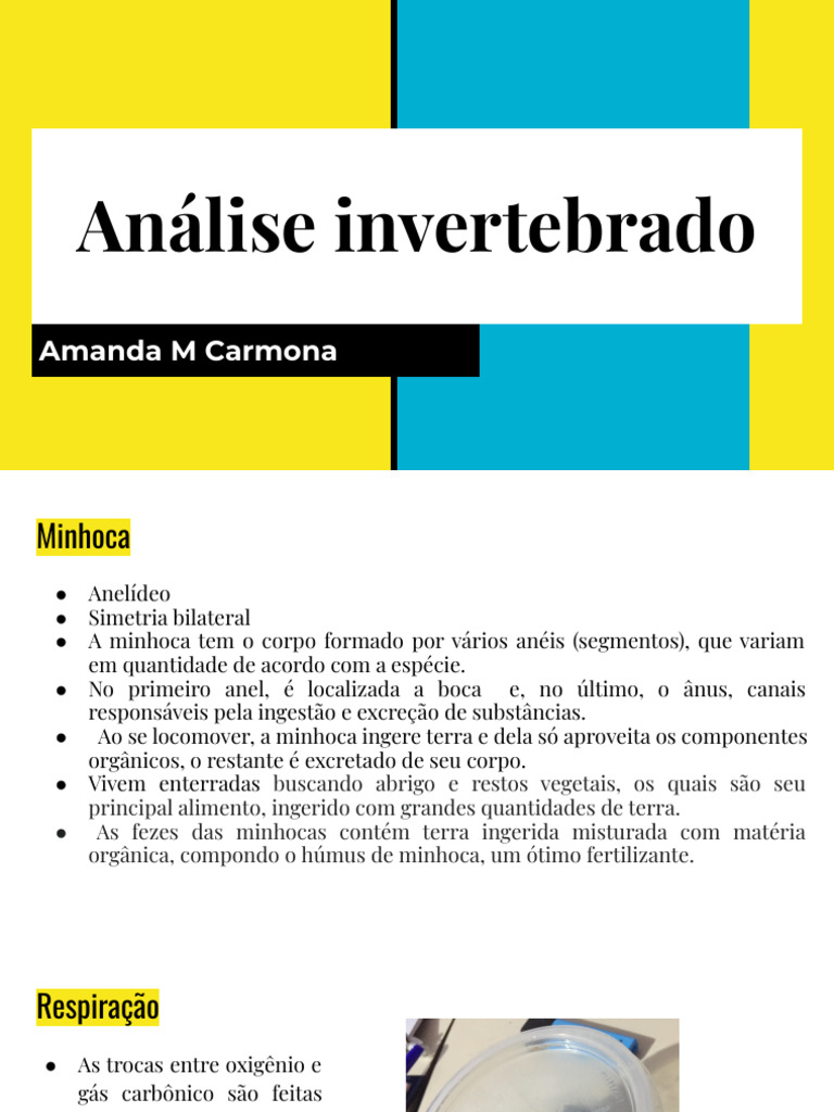 Análise Invertebrado | PDF