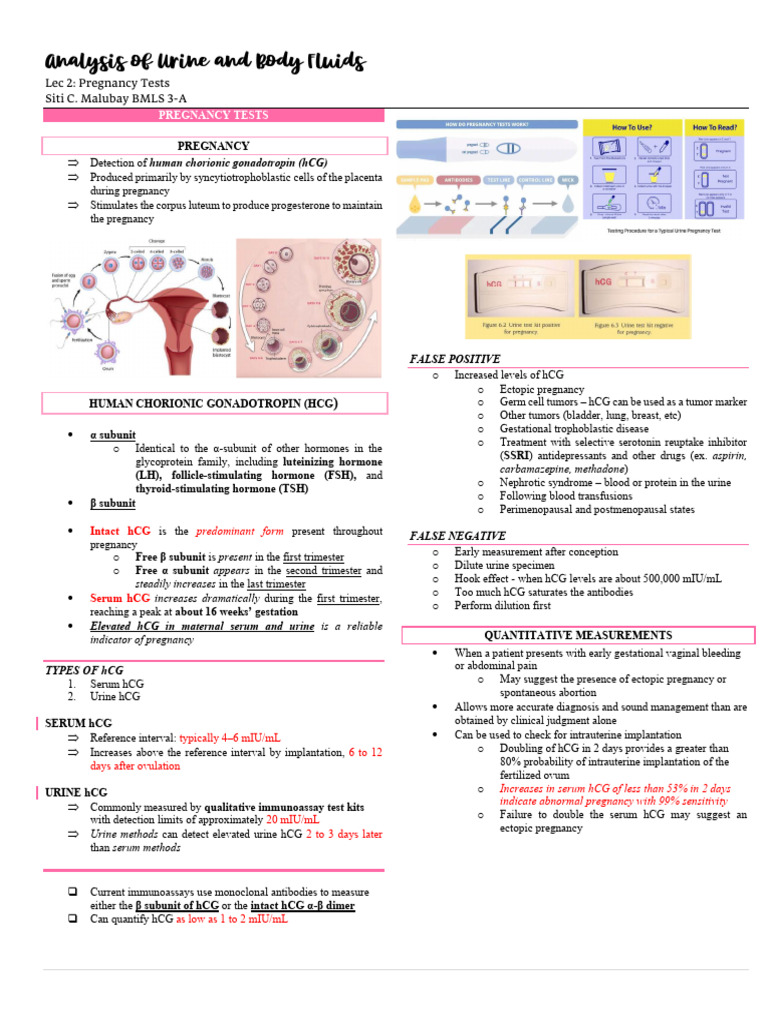 Pregnancy Test Analysis and hCG Insights | PDF | Human Chorionic ...
