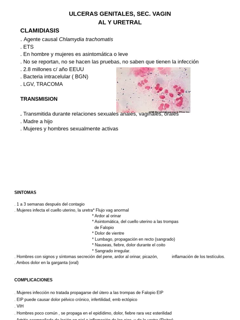 Infecciones Genitales Pdf