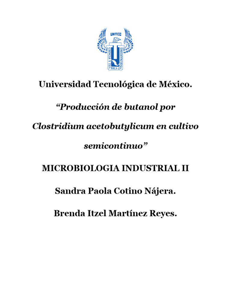 Resumen y Diagrama Micro Ind | PDF