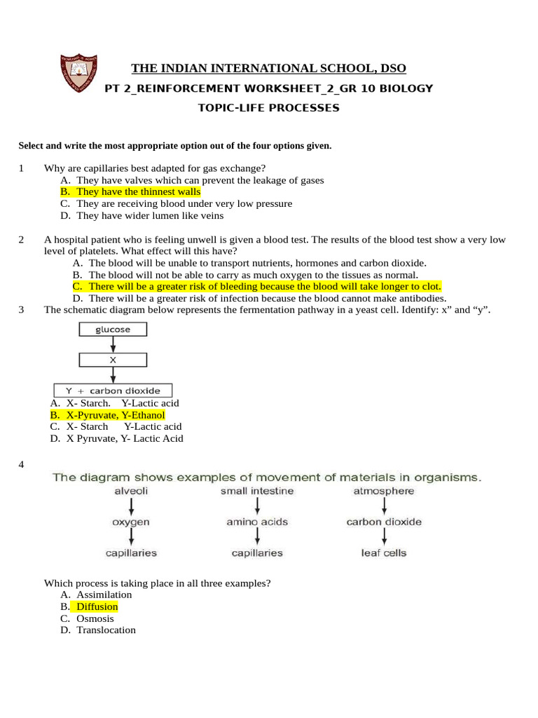 GR 10 Biology Pt2-Reinforcement-2 - Answer Key | PDF