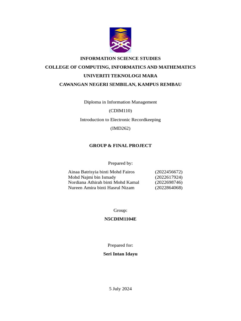 Imd262 Final Assignment | PDF