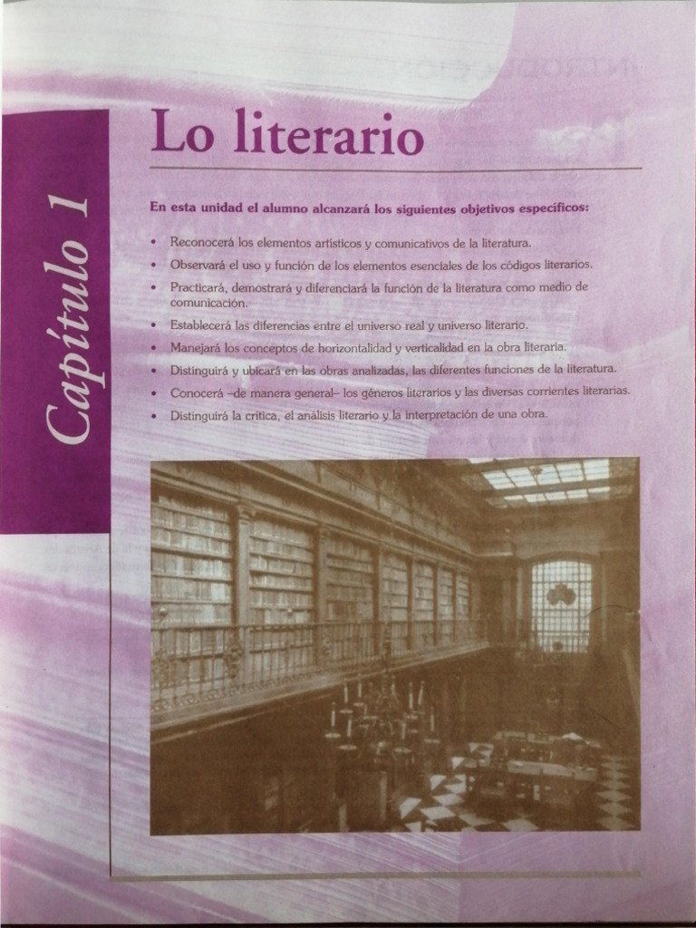 Análisis Literario - Lite | PDF
