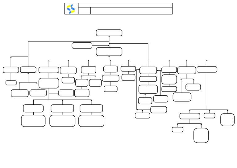 Steve Integrated Corporate Organogram | PDF