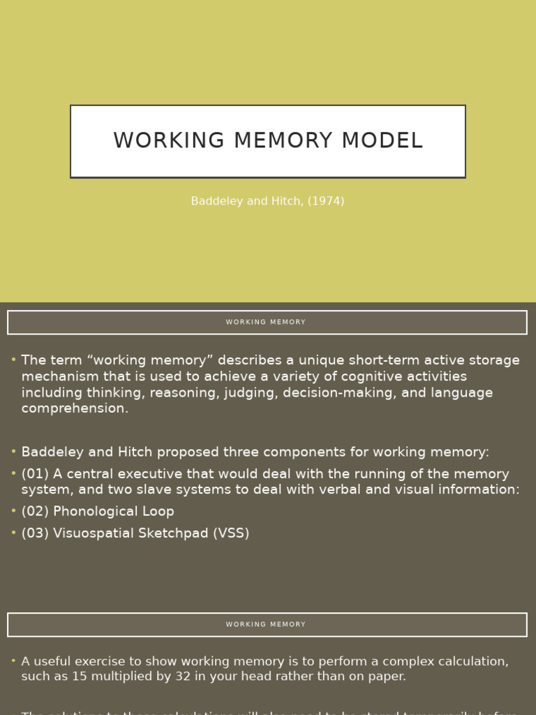 Working Memory Model 4 | PDF